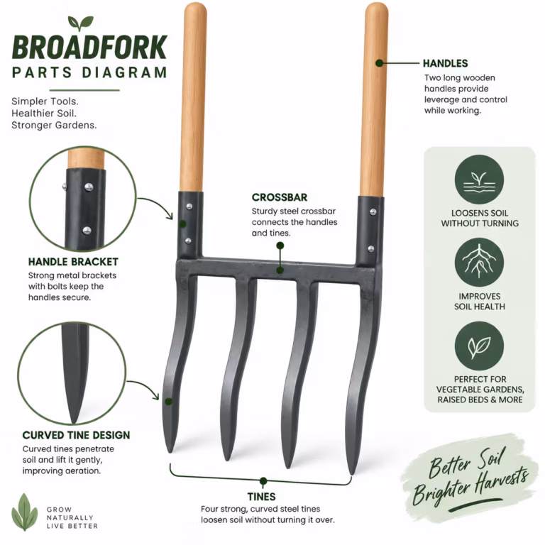Broadfork with long steel tines and two wooden handles pushed into dark soil in a vegetable garden bed